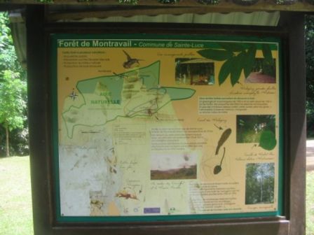 Foret de Montravail panneau informatif, août 2011 Foret de Montravail panneau informatif