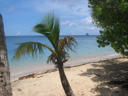 Plage de la Pointe Borgnese