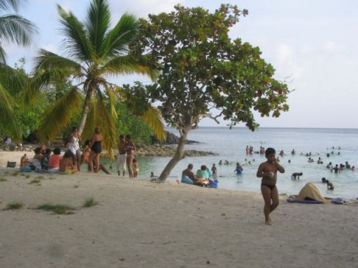 Anse Figuier