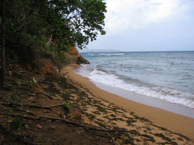 Plage de la pointe Bibi