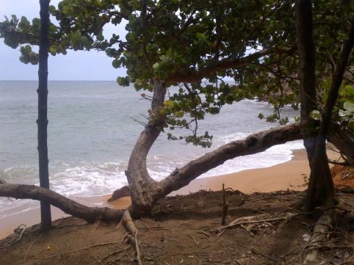 Plage sentier Pointe Rouge