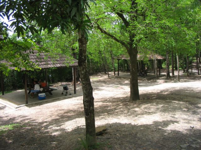 Carbets à la forêt Vatable