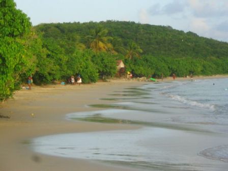 Plage de l'Anse Menier, août 2010 Plage de l'Anse Menier