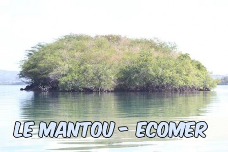 Randonnée le Mantou Ecomer Trois-Ilets Martinique