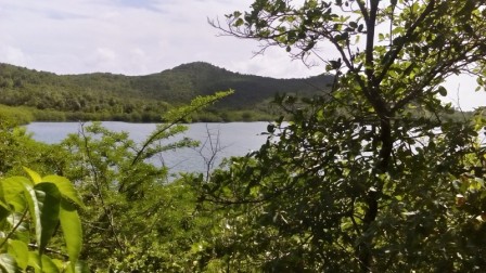 paysage de la presqu'ile de la Caravelle Tartane