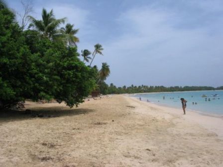 Plage des Salines en Martinique