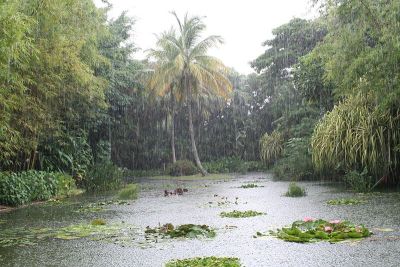 Jardin Botanique de Deshaies