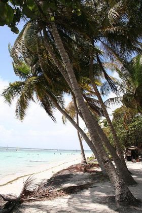 Plage de la Caravelle de St Anne