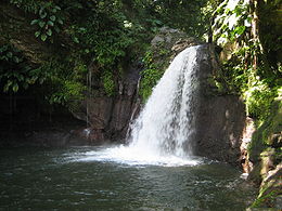 Saut de la Lézarde à Petit Bourg en Guadeloupe