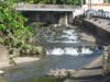 Grand Riviere - Rivière dans le bourg