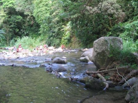 Bassin de Grand Rivière