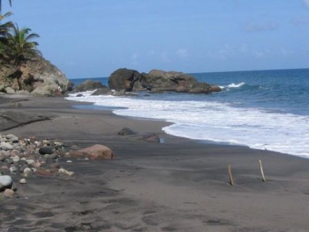 Plage de Sinaille à Grand Rivière