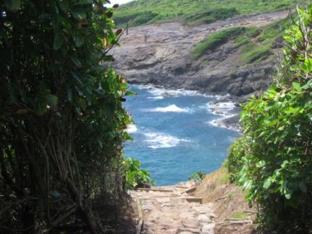 Randonnée Presque Ile Caravelle vers Partie Falaise
