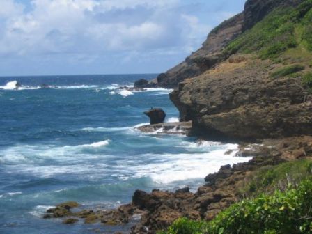 Falaises Presqu'ile Caravelle