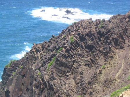 Orgue Andésite La Caravelle Trinité