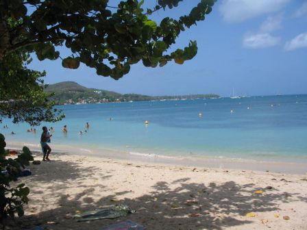 Plage de la Pointe Marin à Saint Anne en Martinique