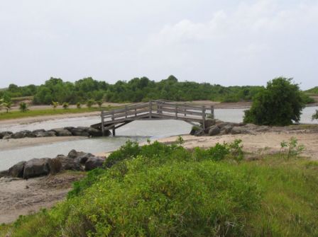 Accès Savane des Pétrifications