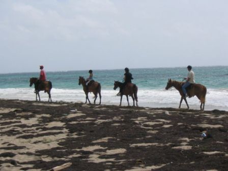 Randonnée Equestre Plage Grand Macabou